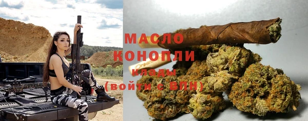 твердый Горняк
