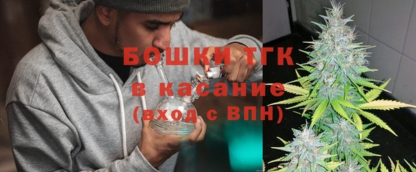 твердый Горняк