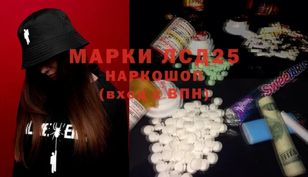 твердый Горняк